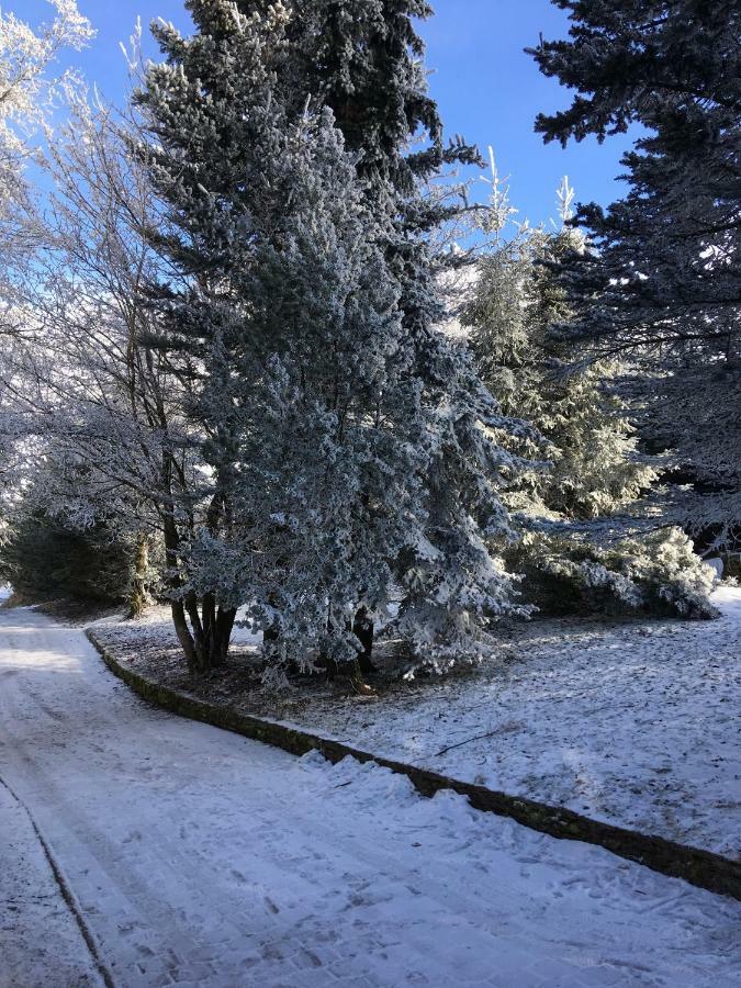 Villa Medvědí boudy Loučná pod Klínovcem Exterior foto